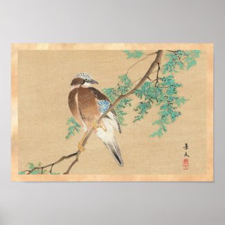 Bird and Flower, Eurasian Jay and Chinese Arborvit Posters