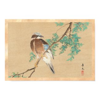 Bird and Flower, Eurasian Jay and Chinese Arborvit Posters