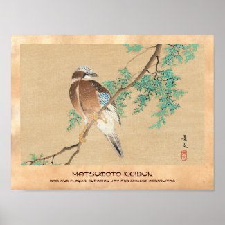 Bird and Flower, Eurasian Jay and Chinese Arborvit Print