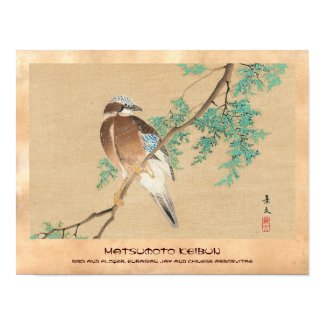 Bird and Flower, Eurasian Jay and Chinese Arborvit Print