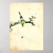 Bird and Spider 1830 Posters