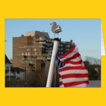 Bird and US Flag Journey cards