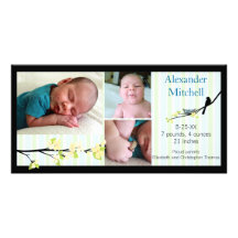 Bird and Yellow Blossoms Birth Announcement Custom Photo Card