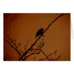 Bird Art Greeting Card
