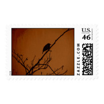 Bird Art Stamps