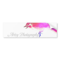 bird artsy bumper stickers by artsyphotography bird artsy bumper stickers