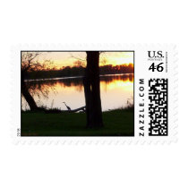 bird at horseshoe lake postage