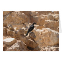 Bird at Massada cards by JewishDelights Bird at Massada cards