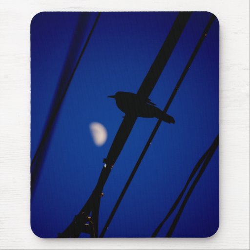 Bird at moonrise mouse pads