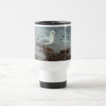 Bird at Water Edge. Black Headed Gull. mugs