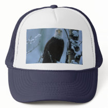 Bird / Bald Eagle in winter snow Hat