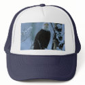 Bird / Bald Eagle in winter snow hats by moxieann Bird / Bald Eagle in winter snow hats