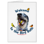 Bird Bath Dog Greeting Cards