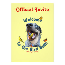 Bird Bath Dog Custom Invite