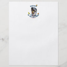 Bird Bath Dog Flyer