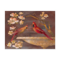 Bird Bath Postcard