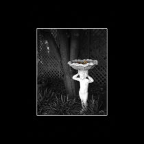 Bird Bath posters