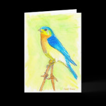 Bird Birthday Card cards