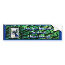 Bird Brain Bumper Sticker, Peacock framed head bumper stickers