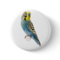 Bird button