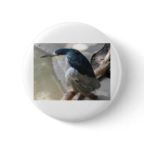 bird pinback button