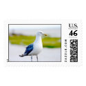 Bird by the Water postage