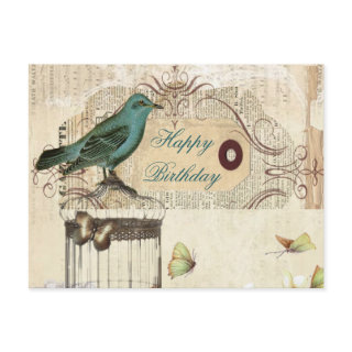 Bird cage Vintage floral Paris fashion Post Cards