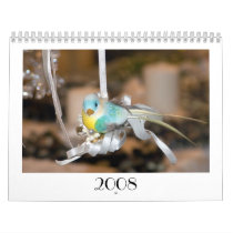 bird calendar by ilconte bird calendar