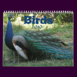 Bird calendar 2010