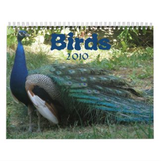 Bird calendar 2010 calendar