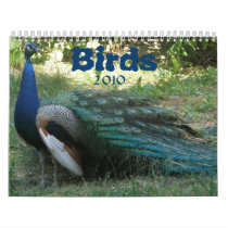 Bird calendar 2010
