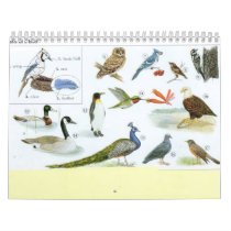 Bird Calender 1 calendars