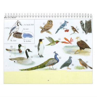 Bird Calender 1 Wall Calendar