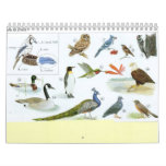 Bird Calender 1 Calendars