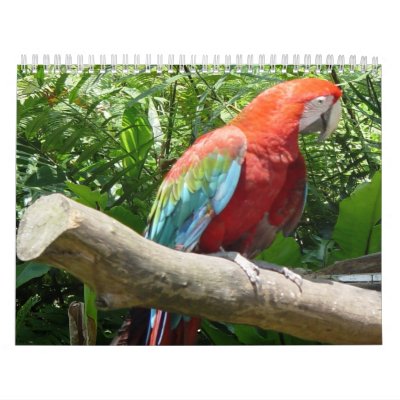 Bird Calender 2 Calendars Bird Calender 2 Calendars