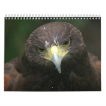 Bird Calender 3 calendars by happybirds Bird Calender 3 calendars