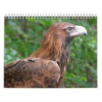 Bird Calender 4 calendars by happybirds Bird Calender 4 calendars