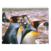 Bird Calender 6 calendars by happybirds Bird Calender 6 calendars