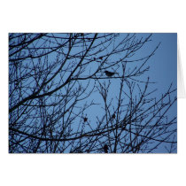 Bird cards