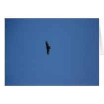 Bird cards