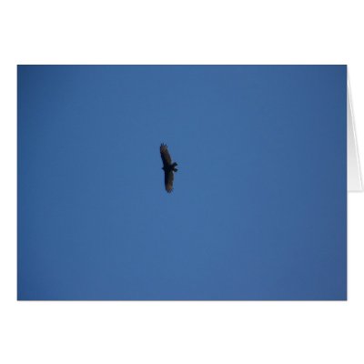 Bird Card by bhughes1uga