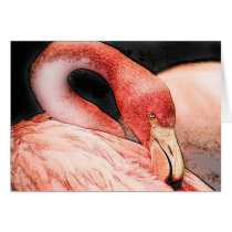 bird cards