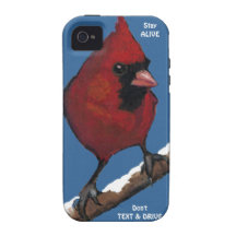 Bird: Cardinal: Don't Text & Drive: Stay Alive iPhone 4/4S Cover