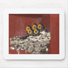 Bird Choir Mousepads