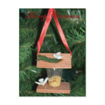 Bird Christmas Postcards