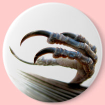 Bird Claw Button