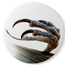 Bird Claw Button by ChelseaKerwath Bird Claw Button