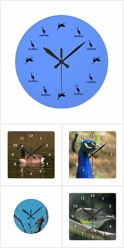 Bird Clocks