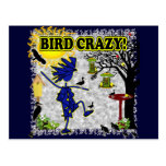 Bird Crazy Clothing Shirt & More Post Cards