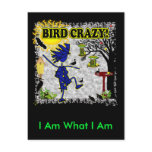 Bird Crazy Clothing Shirt & More Postcards